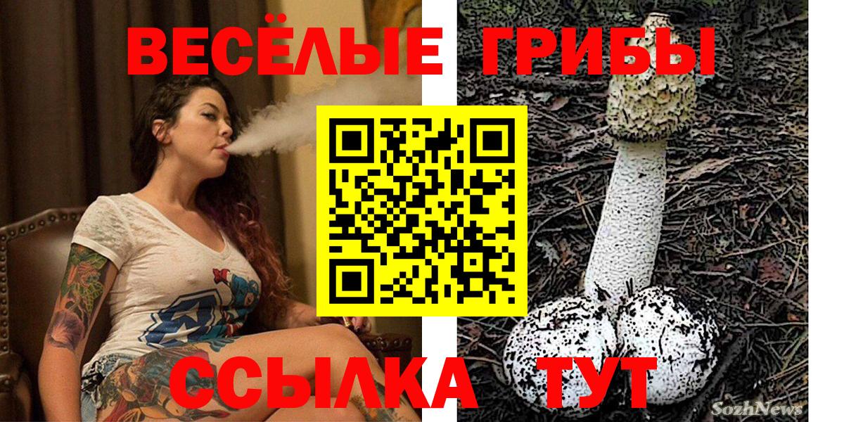 Сызрань  где продают наркотики  Псилоцибиновые грибы прущие грибы  Вход с VPN  Псилоцибиновые грибы Psilocybe 